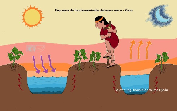 Esquema de funcionamiento del waru waru RAO