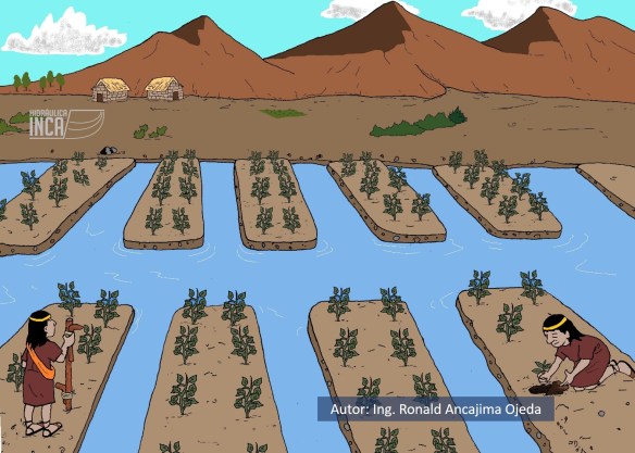 Sistema de Produccion Waru Waru