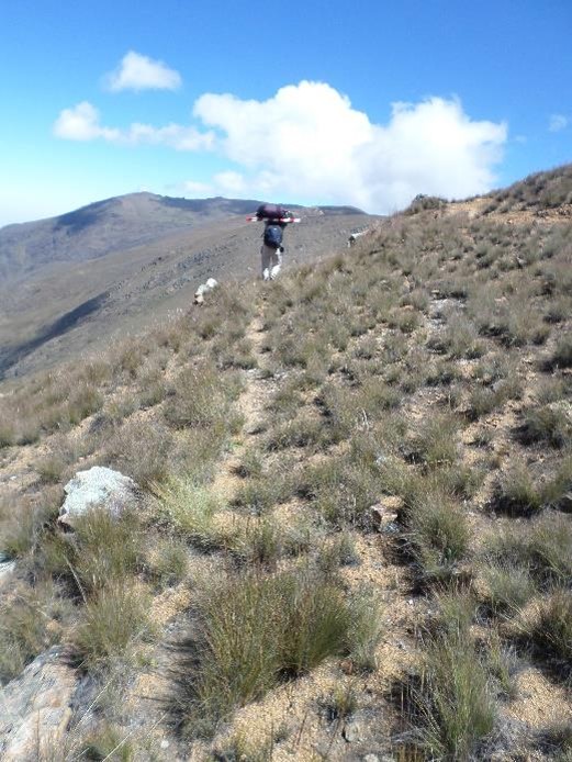 Figura 35. Técnica constructiva correspondiente al caso 1