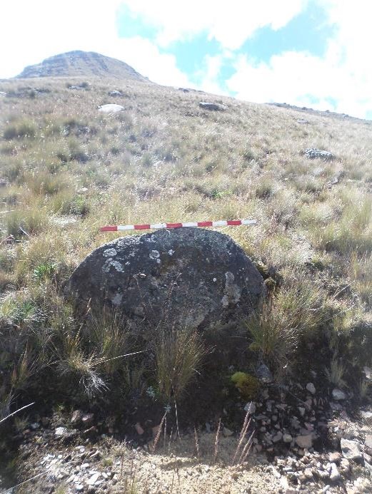 Figura 42. Detalle de piedra incrustada con forma de media luna.